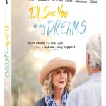 I'll See You in My Dreams (2015)