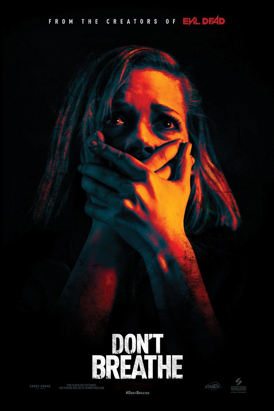 Don’t Breathe (2016)dvdplanetstorepk