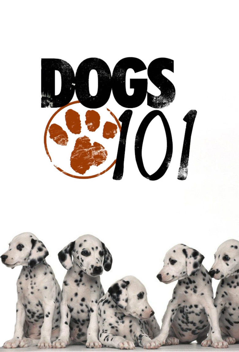 dogs 101 show