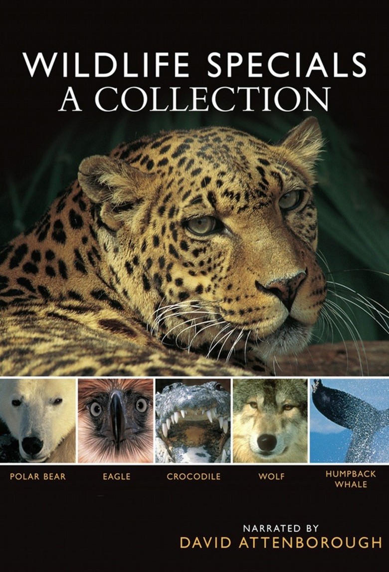 Wildlife Specials DVD STORE