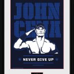 PFC2078-WWE-john-cena.jpg