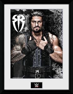 PFC2082-WWE-romain-reigns-photo.jpg