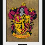 PFC2225-HARRY-POTTER-gryffindor.jpg