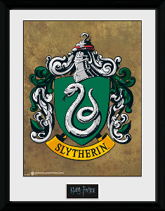 PFC2226-HARRY-POTTER-slytherin.jpg