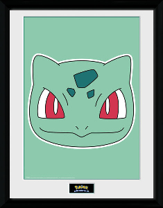 PFC2261-POKEMON-bulbasaur-face.jpg