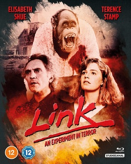 link-blu-ray.jpg
