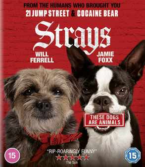 strays-blu-ray.jpg